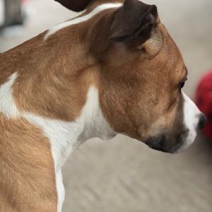 Meet your Posher, Cynthia